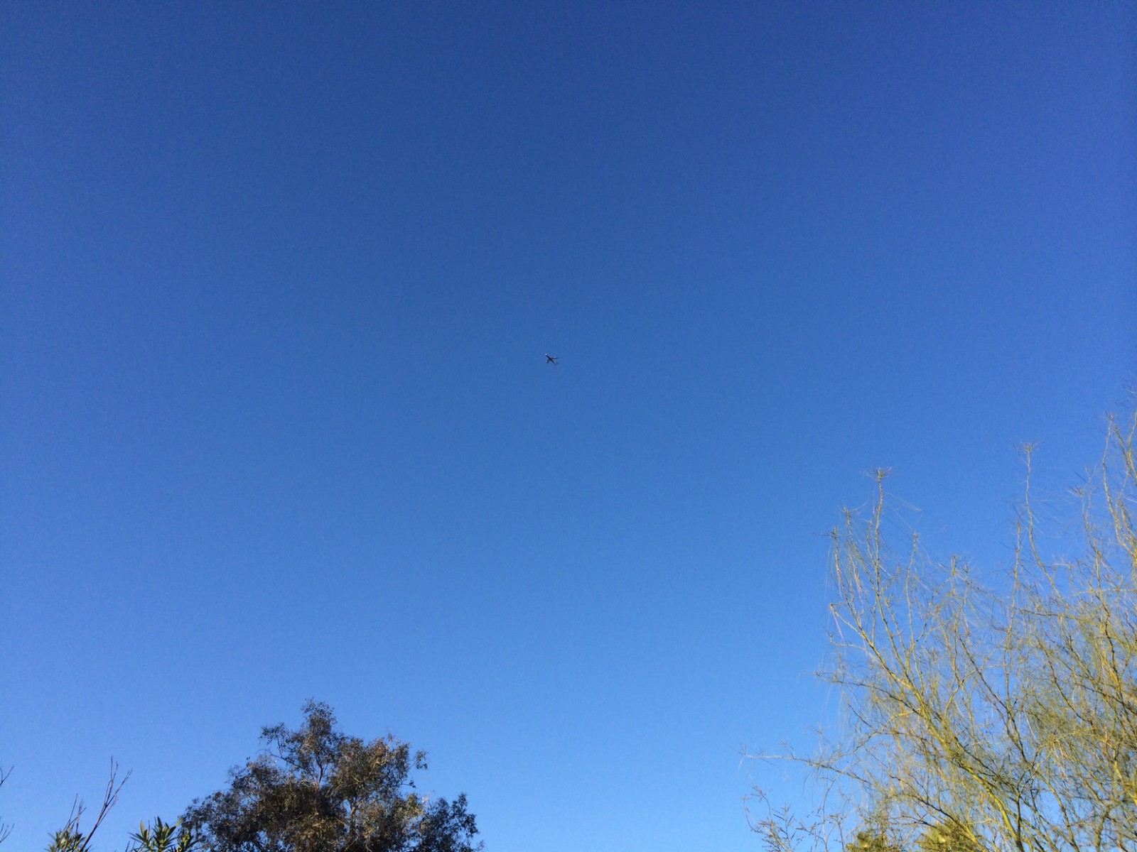 BA289 arriving in Arizona - ba289.com